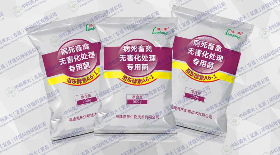 病死畜禽無(wú)害化處理專(zhuān)用菌(A6-1)