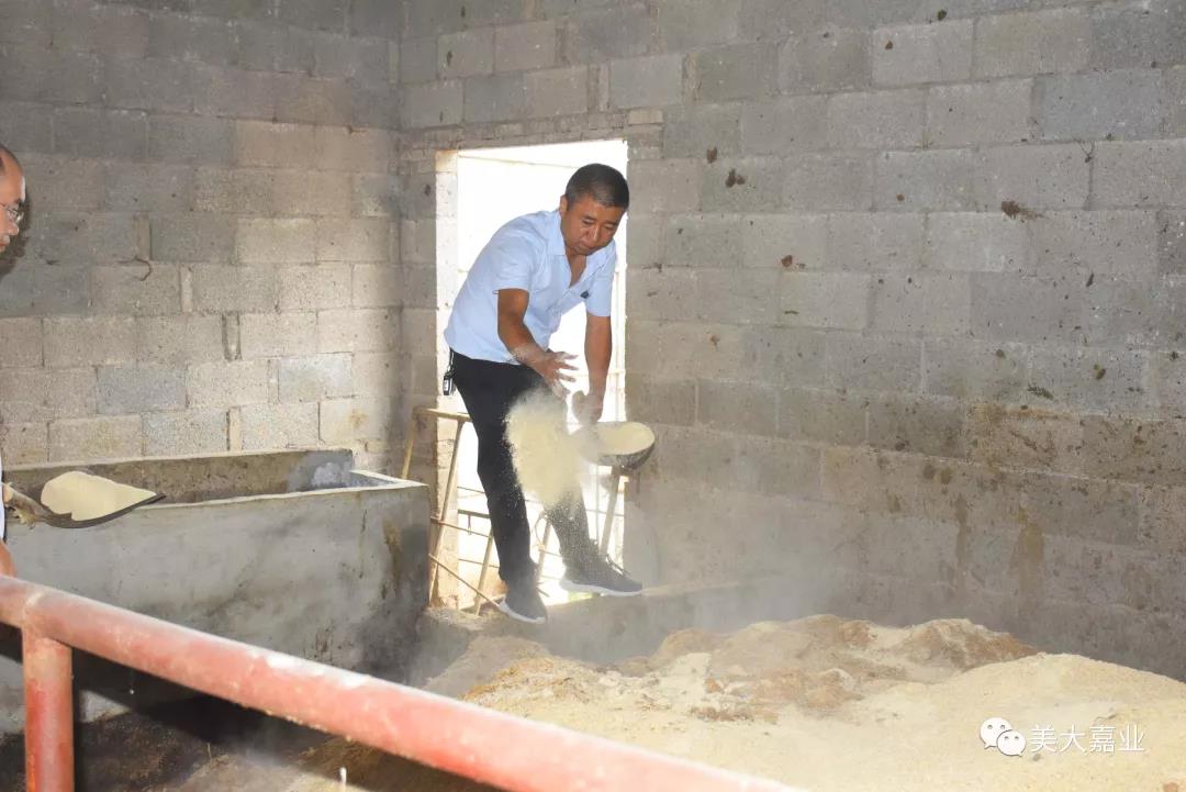 深山里綻放的科技之花，科學(xué)養(yǎng)殖模式助力農(nóng)村創(chuàng)業(yè)